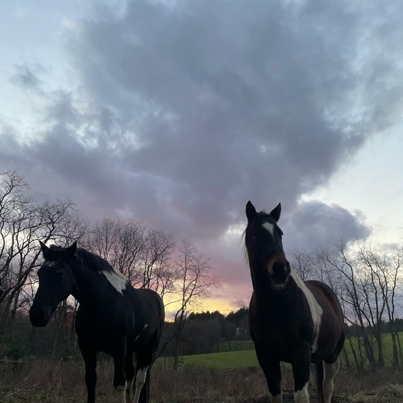 Meet your Posher, Jenny - Picture 6 of 17